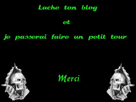 !!! lache ton blog !!!